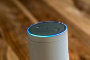 An Alexa Voice Device - Where is Voice Search Heading