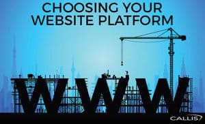 Choosing your Website-Platform