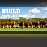 Build a Consistent Brand