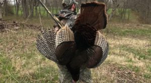 Hunter with harvested turkey.